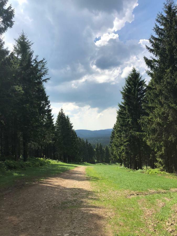 Hahnenklee Ferienpark 7-511 جوسلار المظهر الخارجي الصورة